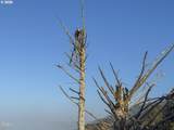 81090 Arcadia Rd - Photo 24