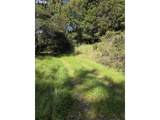 1310 King St - Photo 2