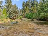 44502 Wildcat Mountain Dr - Photo 10