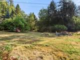 44502 Wildcat Mountain Dr - Photo 11
