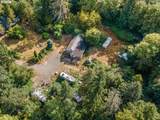 44502 Wildcat Mountain Dr - Photo 12