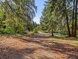 44502 Wildcat Mountain Dr - Photo 2