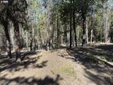 3 Karen Ln - Photo 16