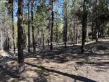 3 Karen Ln - Photo 22