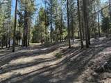 3 Karen Ln - Photo 23