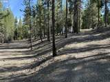 3 Karen Ln - Photo 25