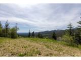  Snag Mountain Rd - Photo 10