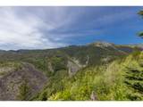  Snag Mountain Rd - Photo 11