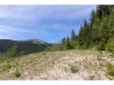  Snag Mountain Rd - Photo 12