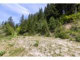  Snag Mountain Rd - Photo 13