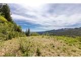  Snag Mountain Rd - Photo 14