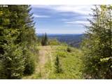  Snag Mountain Rd - Photo 15