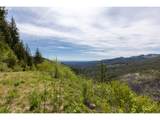  Snag Mountain Rd - Photo 16