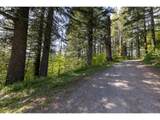  Snag Mountain Rd - Photo 19