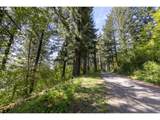  Snag Mountain Rd - Photo 20