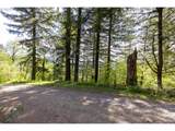  Snag Mountain Rd - Photo 21