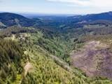  Snag Mountain Rd - Photo 23