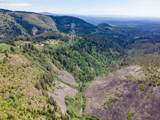  Snag Mountain Rd - Photo 24