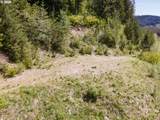  Snag Mountain Rd - Photo 32
