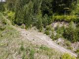  Snag Mountain Rd - Photo 33