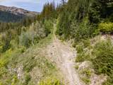  Snag Mountain Rd - Photo 34