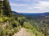  Snag Mountain Rd - Photo 35