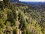  Snag Mountain Rd - Photo 36