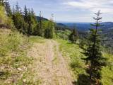  Snag Mountain Rd - Photo 37