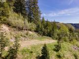  Snag Mountain Rd - Photo 38