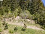  Snag Mountain Rd - Photo 39