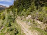  Snag Mountain Rd - Photo 40