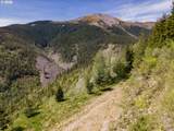  Snag Mountain Rd - Photo 41