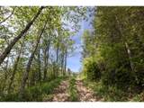  Snag Mountain Rd - Photo 6