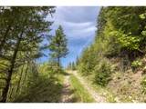  Snag Mountain Rd - Photo 7