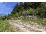  Snag Mountain Rd - Photo 8