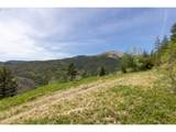  Snag Mountain Rd - Photo 9