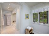 539 Wild Fern Dr - Photo 34