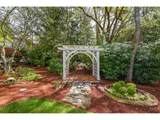 539 Wild Fern Dr - Photo 42