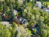 539 Wild Fern Dr - Photo 47
