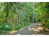 10151 Washington St - Photo 38