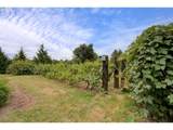 29901 Charity Rd - Photo 41