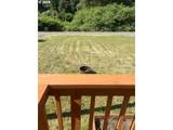 337 Main St - Photo 15