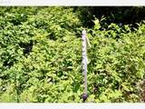 0 Stian Smith Rd - Photo 17