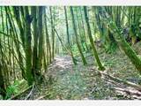 0 Stian Smith Rd - Photo 24