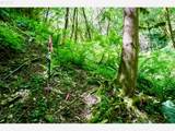 0 Stian Smith Rd - Photo 29