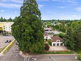 1810 Pacific Ave - Photo 43