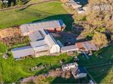 38742 Scravel Hill Rd - Photo 6