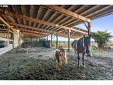 4930 Highway 101 - Photo 44