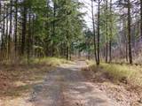 Dry Creek Rd - Photo 11