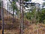  Dry Creek Rd - Photo 12